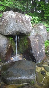 DSC00022
